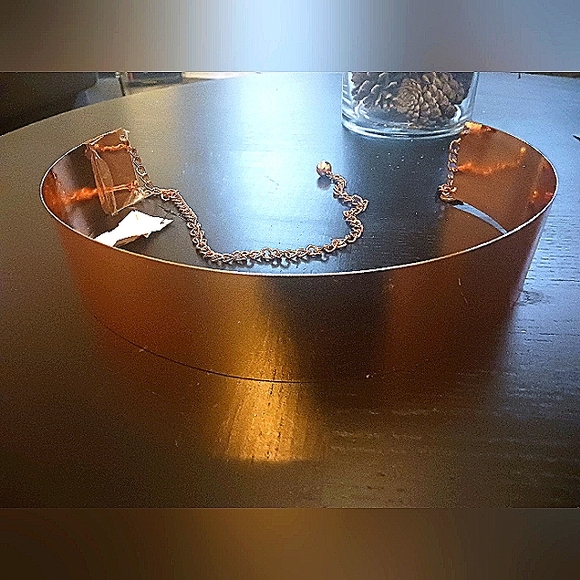 AKIRA Rose Gold Metal Plate Belt (NWT) - Picture 2 of 3